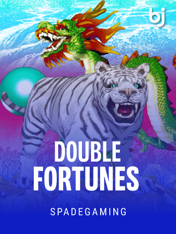 Double Fortunes game icon